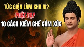 Tức Giận Làm Khổ Ai? Phật Dạy 10 Cách Kiềm Chế Cảm Xúc Mà Ít Người Biết! | Nghe Phật Dạy Ngủ Ngon