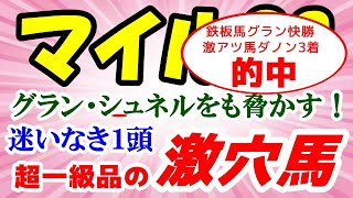 マイルチャンピオンシップ2021予想【グラン・シュネルを脅かす！】迷いなき１頭は超一級品の激穴馬！