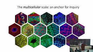 Session 5: Mechanistic Tissue Biology (Part 2)