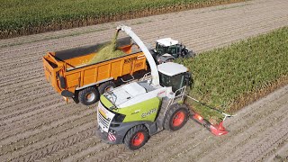 Claas Jaguar 970 \u0026 Kemper 375plus - Loonwerken Claeys Willem