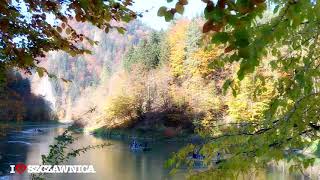 Szczawnica - Pieniny Spa Resort. Jesienny spacer i złoty Dunajec