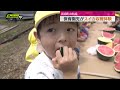 【特産】地元園児がスイカ収穫体験（静岡・函南町）