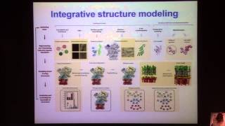 Integrative Modeling of the Structure and Dynamics of Assemblies - Daniel Russel