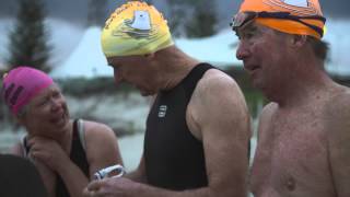 Port Beach Polar Bears: Storm Swimmer