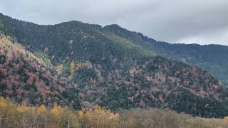 長野　上高地　大正池　Nagano KamiKochi Taiso-Ike Pond　紅葉　autumn leaves🍁