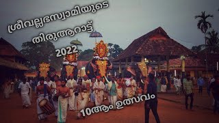 ശ്രീവല്ലഭന്റെ തിരുആറാട്ട് 2022||# #thiruvalla #Jayarajan #sreevallabhatemple #thrikkadavoorshivaraju