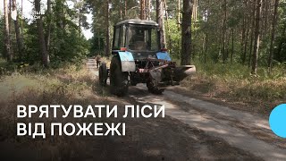 Як лісівники запобігають пожежам у посушливий період