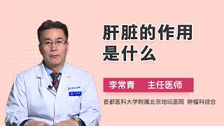 肝脏的作用是什么 李常青 首都医科大学附属北京地坛医院