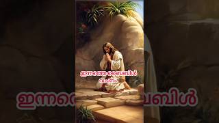 ഇന്നത്തെ ബൈബിൾ വചനം#jesus#malayalam#prayers#verse#kreupasanam#exam#bible#mary#motivation#quotes #24