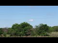 strange spinning ufo seen in texas