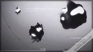 Fly Before you fall- Nightcore Edit