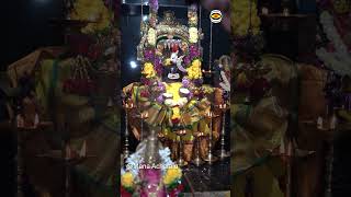 Lord Shiva Special Pooja #shorts #shortvideo #short #devotional #travel #hindufestival #trending