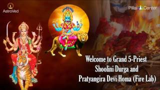 5-Priest Shoolini Durga and Pratyangira Devi Homa (Fire Lab) LIVE on Feb. 18, 2017 at 10:30 am IST