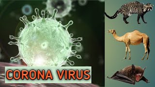 Coronavirus : SARS | MERS | COVID - 19 Explained | Symptoms | Prevention | Treatment | 13 March 2020