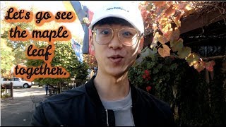 see the maple leaf together｜VLOG19 德國村楓葉一日遊