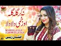 Na Kar Gilla Gilla O Zakhmi Dilla Dilla | Afshan Zaibi | (Official Music Video) Tp Gold