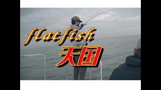 【海釣り情報】何故だぁ！こんな魚ばかり釣れる日・・(+o+)