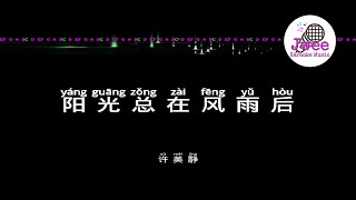 许美静 《阳光总在风雨后》 Pinyin Lyrics 动态拼音歌词 4k