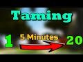 How To Level Up Taming FAST / Hypixel SkyBlock Guide