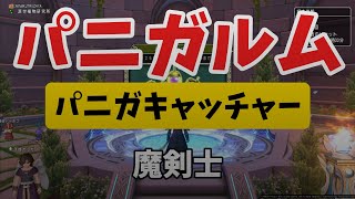 ドラクエ10、パニガルム、魔剣士