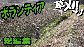 Volunteer mowing around local fields