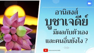 อานิสงส์การบูชาเจดีย์ มีผลกับตัวเราและคนอื่นยังไง ?  ll  ป้าใส