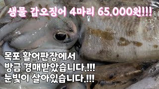 눈빛이 살아있는 생물 갑오징어 입니다! 목포활어판장에서 경매받았습니다. #완도수산 #갑오징어