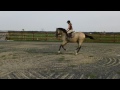 xazan interagro cantering.