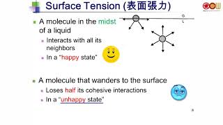 Lec17 高分子物理 L11: Polymer Surfaces \u0026 Interfaces (½)