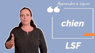 Signer CHIEN en LSF (langue des signes française). Apprendre la LSF par configuration