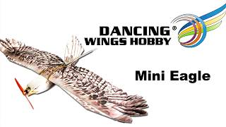 E15 DW Hobby 1.2M EPP Mini Eagle