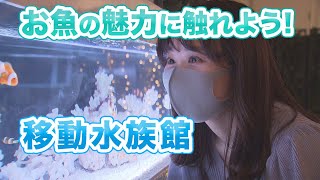 お魚の魅力に触れよう！移動水族館 日本財団 海と日本PROJECT in やまなし 2022 #01