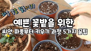 예쁜 꽃밭을 위한 씨앗 파종부터 새싹관리  5가지 꿀팁/새싹키우기 기본가드닝