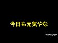 【スタリラ】無課金がvsレビュー戦をオートかつ筋トレしながらやってみた！