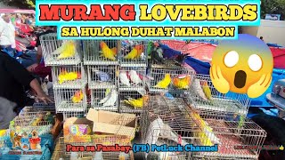 LOVEBIRDS SALE SA HULONG DUHAT MALABON