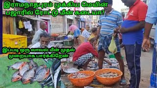 fish market in Road in Ramnad Main Bazaar. இராம்நாதபுரம் மெயின் பஜாரில் ரோட்டு மீன் மார்க்கெட்