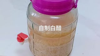 白醋自己做，二两大米，20g白糖二斤凉白开，苹果的1/4