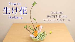 花の定期便　生け方動画　芽出し紫陽花（アジサイ）　ガーベラ　フリージア　スイートピー　ドラセナ・サンデリー