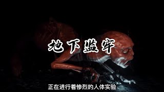 《黑暗之魂3》《dark souls 3》地下监牢成为了教宗的人造龙实验场，沙力万的野心注定会迎来失败