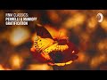 Perrelli & Mankoff - Gratification [TRANCE CLASSICS]