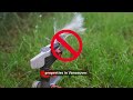 Stage 2 water restrictions