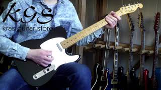 Bill`s Brothers BTEM-BLK Telecaster