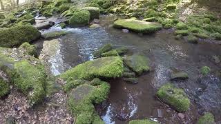 Relaxing Music at a Forest River near Bad Liebenzell at the Black Forest / Meditation #2