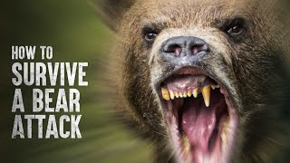 HOW TO SURVIVE A BEAR ATTACK