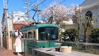 Kamakura Vlog - Eating Japanese street food