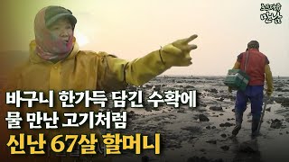 [로드다큐 만남 112회②] 바구니 한가득 담긴 수확에 물 만난 고기처럼 신난 67살 할머니