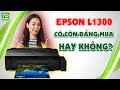 Máy in Epson L1300: Có còn đáng mua hay không?