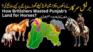 How British Wasted Punjab's Precious Land for Horses? | Jhelum Canal Colony Tale | Umar Warraich