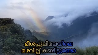 Munnar: A Piece of Heaven on Earth | Wild Sherpas Tenting And Camping | IFIF