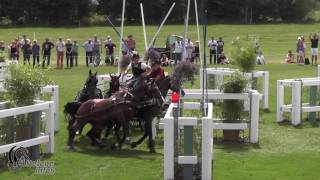 Dries Degrieck   Bel   CAIO Aachen 2017   Marathon   Obstacle 5